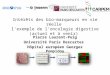Intérêts des bio-marqueurs en vie réelle lexemple de loncologie digestive (actuel et à venir) Pierre Laurent-Puig Université Paris Descartes Hôpital européen