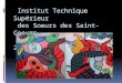 Institut Technique Supérieur des Soeurs des Saint-Coeurs BAUCHRIEH calendrier 2009