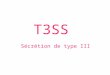 T3SS Sécrétion de type III. Petite introduction … ¤ quest-ce que la sécrétion : cest quand une protéine est synthétisée dans le cytoplasme et va traverser