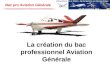 Rénovation de la filière de formation en Aéronautique 27-28 novembre 2013 Bac pro Aviation Générale La création du bac professionnel Aviation Générale