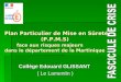 Plan Particulier de Mise en Sûreté (P.P.M.S) face aux risques majeurs dans le département de la Martinique Collège Edouard GLISSANT ( Le Lamentin )