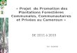 DE 2011 à 2015 Par : ANAFOR « Projet de Promotion des Plantations Forestières Communales, Communautaires et Privées au Cameroun »