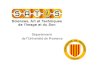 Département de lUniversité de Provence. SATIS, les formations professionnalisantes de lImage et du Son de lUniversité de Provence Département Universitaire