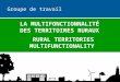 Groupe de travail Task Force LA MULTIFONCTIONNALITÉ DES TERRITOIRES RURAUX RURAL TERRITORIES MULTIFUNCTIONALITY