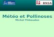Météo et Pollinoses Michel Thibaudon. Les pollens : les arbres FrêneBouleauChênePlatane