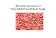 BIO1540 Laboratoire 2 Perméabilité du Globule Rouge Source: ©Wellcome Images