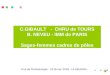 C.GIBAULT - CHRU de TOURS B. NEVEU - IMM de PARIS Sages-femmes cadres de pôles Club de Périfoetologie - 20 février 2009 - LA REUNION -