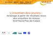 Linsertion des jeunes : éclairage à partir de résultats issus des enquêtes du réseau Oref Nord-Pas-de-Calais