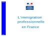 MIIINDS Limmigration professionnelle en France 25.11.08