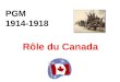 PGM 1914-1918 R´le du Canada. D©claration de guerre Pour quelle raison le Canada participe-t-il   ce conflit ? Constitutionnellement, le Canada entre
