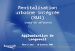 Revitalisation urbaine intégrée (RUI) Agglomération de Longueuil Mise à jour : 29 janvier 2009 Cadre de référence