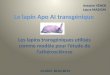 Le lapin Apo AI transgénique Les lapins transgéniques utilisés comme modèle pour létude de lathérosclérose Antoine VENDE Laura MASSON L2-UCO 2012/2013