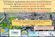 Estimation spatialisée des poly-contaminations dorigine agricole (Chlordécone et Cadusafos) et urbaine (métaux lourds et HAP) dans les sédiments de mangrove