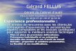Gérard FELLUS Gérant du Cabinet daudit (FELLUS AUDIT ASSURANCES CONSULTANT ) (FELLUS AUDIT ASSURANCES CONSULTANT ) 01 44 01 07 42 / 06 07 64 58 36 01 44