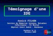 Témoignage dune IDE Annick FILHON Service de Médecine Interne, Maladies Infectieuse – Pr Morlat Hôpital Saint André - Bordeaux Bordeaux le 11 décembre