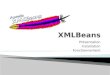 Présentation Installation Fonctionnement. XMLBeans a été à l'origine créé pour répondre aux besoins des développeurs, en particulier David Bau. Ils avaient
