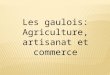 Les gaulois: Agriculture, artisanat et commerce. Les Gaulois vivent dans des villages fortifiés et pratiquent lagriculture et lartisanat. La société gauloise