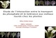 Mlle AYADI Amal ENIS: LBVAAC CEA (Cadarache, France): LBDP Groupe Chimique Tunisien Etude de linteraction entre le transport du phosphate et la tolérance