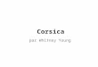 Corsica par Whitney Young. Nom de la région Nom Corsica Capitale Ajaccio flaq