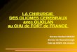 LA CHIRURGIE DES GLIOMES CEREBRAUX avec GLIOLAN au CHU de FORT de FRANCE Docteur Norbert MANZO Service de Neurochirurgie CHU de FORT- DE- France