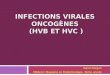 INFECTIONS VIRALES ONCOGÈNES (HVB ET HVC ) Ioana Gorgan Médecin Stagiaire en Épidémiologie, 3ème année