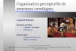 Organisation perceptuelle de structures curvilignes Laurent Alquier Directeur de thèse : Chabane Oussalah Professeur Responsable : Philippe Montesinos