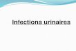 Infections urinaires. Schémas de l'arbre urinaire Lorigine peut etre vésicale, rénale, urétérale, urétrale, et prostatique, urinaire ou épididymaire