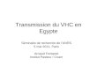 Transmission du VHC en Egypte Séminaire de recherche de lANRS 5 mai 2011, Paris Arnaud Fontanet Institut Pasteur / Cnam