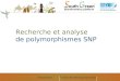 Alexis DereeperFormation Bio-informatique Apimet 2013 Recherche et analyse de polymorphismes SNP