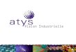 Créée en 1993, ATYS est située à Montpellier, ville universitaire et centre de recherche réputés, foyer de la Vision Artificielle en France. Sur la base