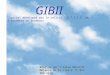 GIBII G estion I nformatisée du B revet I nformatique et I nternet Logiciel développé par la cellule C.A.T.I.C.E. de lAcadémie de Bordeaux Réalisé par