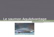 Le saumon AquAdvantage. Sommaire : Présentation des différents types de saumons Historique de la transgénèse La société Aquabounty Comment est créé ce