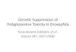 Genetic Suppression of Polyglutamine Toxicity in Drosophila Parsa Kasemi-Esfarjani, et al ; Science 287, 1837 (2000)