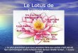 Le Lotus de Lumière Une place pour chacun… un espace de bien-être Un projet de vie Un contact personnalisé Une Terre de Bretagne « Le plus grand bien