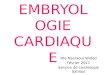 EMBRYOLOGIE CARDIAQUE Rte Nasraoui Wided Février 2011 Service de cardiologie Sahloul