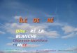 ÎLE DE R RÉ Dite : RÉ LA BLANCHE Charente-Maritime FRANCE 27 avril 2014 FRANCE Musical & Automatique - Mettre le son plus fort