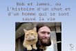Bob et James, ou l'histoire d'un chat et d'un homme qui se sont sauvé la vie click
