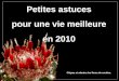 Petites astuces pour une vie meilleure en 2010 Cliquez et admirez les fleurs de cactées
