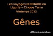 Les voyages BUCHARD en Ligurie – Cinque Terre Printemps 2012 Gênes défilement automatique
