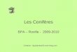 Les Conifères BPA – Roville - 2009-2010 Création : liquidambar54.over-blog.com