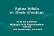 Spina bifida et Désir denfant Pr D. LE LANNOU Biologie de la Reproduction-CECOS CHR Hotel-Dieu, RENNES