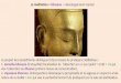 La méditation = bhavana = développement mental La plupart des bouddhismes distinguent deux classes de pratiques méditatives : 1- samatha bhavana (tranquillité)