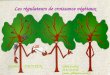 Les régulateurs de croissance végétaux Gaëlle JAOUEN UMR EcoFoG 05 94 32 92 02 jaouen_g@kourou.cirad.fr