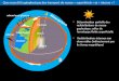 Que nous dit la géophysique des transport de masse « superficiels » et « interne »? Atmosphère rebond post-glacière séismes Eaux douces Graine Manteau