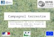 Campagnol terrestre Développement de lutte intégrée Site Natura 2000 des Gorges de la Dordogne 06 au 19 novembre 2013