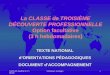 04-05-05 modifié le 17-06-05 Séminaire Limoges1 La CLASSE de TROISIÈME DÉCOUVERTE PROFESSIONNELLE Option facultative (3 h hebdomadaires) TEXTE NATIONAL