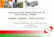 Présentation du Réseau Africain de Microfinance (AFMIN) OUSMANE THIONGANE, AFMIN Chairman Semaine Européenne de la Microfinance Luxembourg 15 Novembre