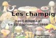 Les champignons René ROUDAUT Le 23 Septembre 2010 Diaporama : M.Picart