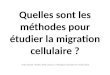 Quelles sont les méthodes pour étudier la migration cellulaire ? Théo Foutel--Rodier, ENS Cachan L3 Biologie cellulaire et moléculaire