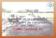 Synthèse de la campagne danalyses de composts été 2007 CUMA Compost 71 Pascal MATHIEU – CESAR AG du 29-04-08